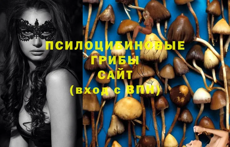 Галлюциногенные грибы Magic Shrooms  кракен маркетплейс  Сафоново 